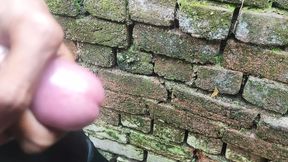 Cg land mota land ladkiyon ko agar sok hai to ek bar massage kar de or no.bhej de