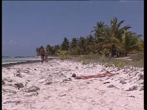 Italian Vintage Brunette Fucked Like a Bitch by a Cock Cumming in Her Mouth