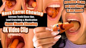 4K | Nova in the Car: Open Mouth Carrot Chewing – Extreme Teeth Close-Ups, Loud Crunching & Mastication, Perfect Teeth Crushing, Mouth Fetish, Open Mouth Chewing, Teeth Worship, Carrot Crunch ASMR