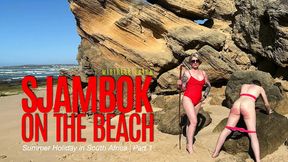 Sjambok on the Beach  Summer Holiday in South Africa Part 1