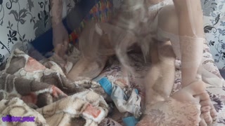 friend stayed overnight, wife fucked him