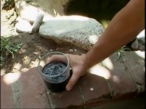 Asian girl is milking her tits in the mirror for you