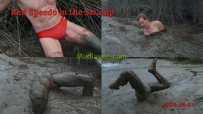 Red Speedo in the Swamp, 2024-06-03