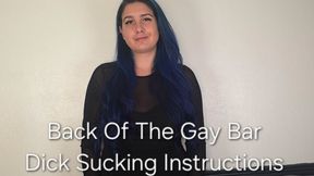 720P Back Of The Gay Bar Dick Sucking Instructions: Dirty Talking Fantasy