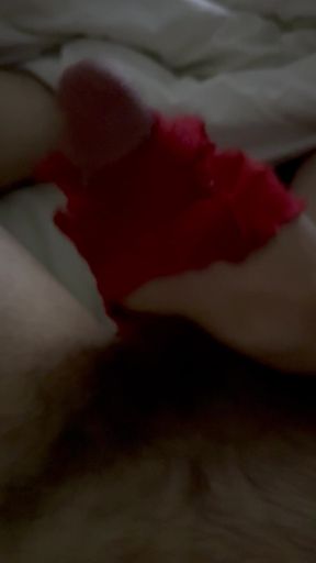 Rubbing my cock in wife&#039;s panties