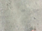 mis plantas sucias en una cochera luego de caminar horas por la calle 2 of 2