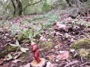 Giant naked lad in Wonderland (part 1)