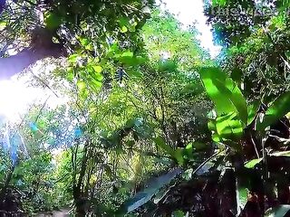 Am I going to fuck this playgirl doggy-style in the woods???? Real uncut amateur movie scene.