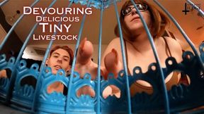 Devouring Delicious Tiny Livestock - WMV - featuring Kane Fawkes and Jane Judge, in this hungry giantess and giant vore video with tinies kept in cages and fattened up for months before being seasoned and prepped to cook and then swallowed raw, as your