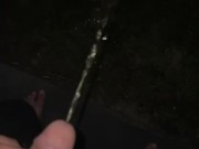 Slow Motion Outdoors Pissing in Backyard
