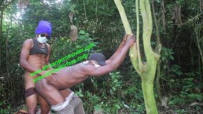 compilation of public fucking in an outdoor plantation. a live exclusively on xvideos