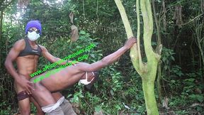 compilation of public fucking in an outdoor plantation. a live exclusively on xvideos