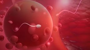 thick pawg camp counselor fucks a street thug in the cabin