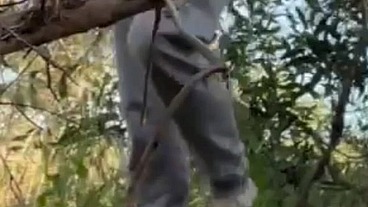 I was filming myself jerking off in the woods when a cute boy came and sucked me (and rimmed too)