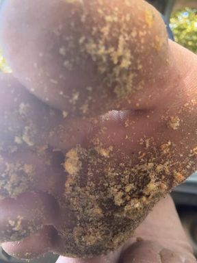 i pick what you'll eat on our picnic. today it's gutter water with whatever's floating in it. you'll lick my feet clean and love it or we're done.