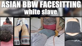 Asian BBW Facesitting Compilation -- Asian BBW Always Smothering Her White Male Slave