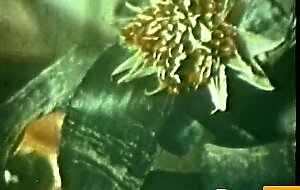 European Peepshow Loops 200 1970s - Scene 3