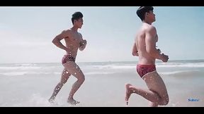 Quoc viet , bao dang