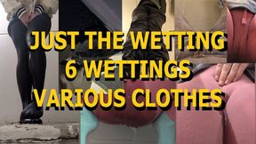 JUST THE WETTING - 6 Wettings - Pants, Sweatpants, & More!