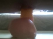 Adams cock