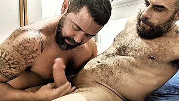 Mais doce que mel parte 2 - com tedbluebear e bearcomsunga