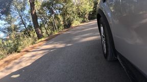 Busty Babe Fucking on the Side of the Road