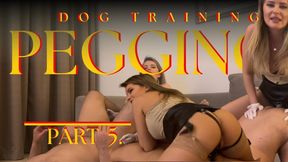 Dog Training Pegging Part 5