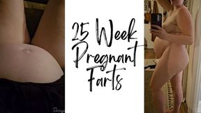 25 Week Pregnant Farts - A fart compilation featuring Pregnant Belly, Pregnancy Farts, Farting & Gassy ft MILF Sassypantz
