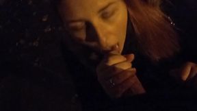 Collegegirl sucked on the street near the house and got cum in her mouth