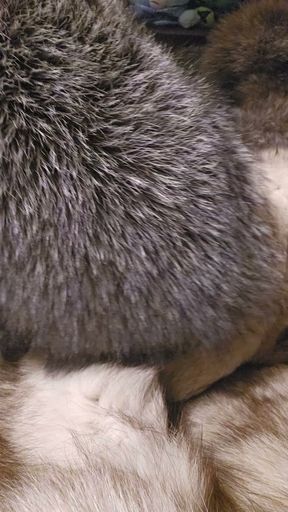 Fox fur mittens masterbation furry coat cum