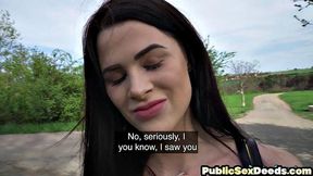 picked up petite babe doggystyled in POV