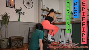 Morning Ass Sniffing Mobile
