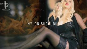 Nylon Succubus Mesmerize