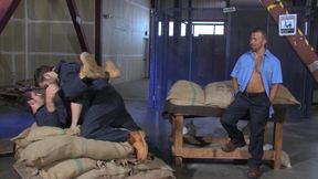 The Tommy Defendi Anthology