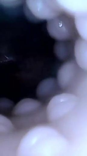 Internal closeup fucktoy