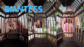 Garden Morning: The Caged Pet