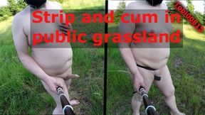 Nude masturbating in public grassland at cruising spot. Naked fapping in sight of the main path until I cum. Tobi00815