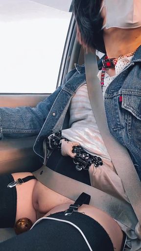 No. 197: a Drive From the Park with My Pussy on Full Display-part 2