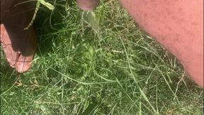 Pissing Compilation Desperate Male in Public - Piss on Grass