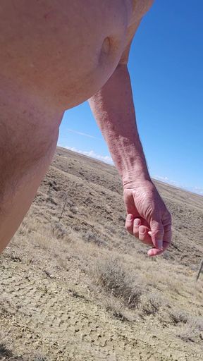 Desert Morning Down the Trail