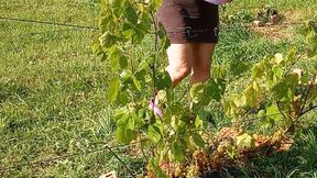 grapes also need love