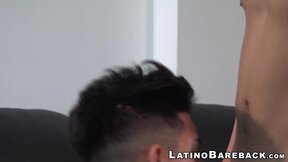 Inked latino twink raw riding boyfriends big cock for cum