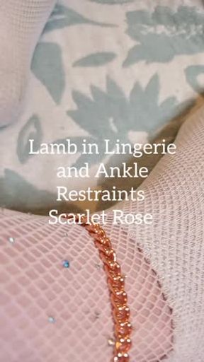 Lamb in Lingerie and Ankle Restraints