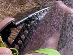 Amateur Blonde With BIG BOOBS Hot Free Cam Show