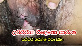 passata karanna epa baba sinhala ass fucking srilanka