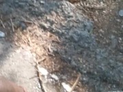 Taking a piss on a mountain road