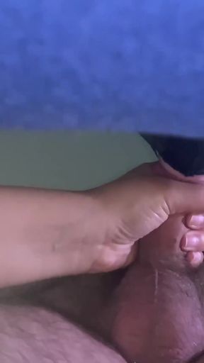 Swallow kneeling filmed from below   Clip 1