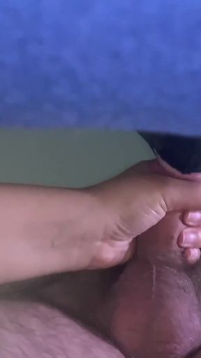 Epic moment from &quot;Swallow kneeling filmed from below&quot;