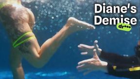 Diane's Demise