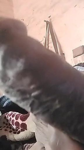 My Cock Is Very Hard and Long